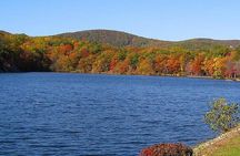 Bear Mountain & Beacon Town 1-Day Tour | Kids 50% Off