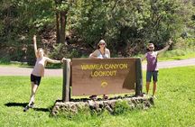 Kauai Island Private Guided Tour-Waimea Canyon from Poipu/Koloa