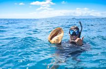 Waikiki Couples Snorkel Retreat