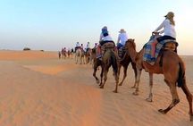 Private Custom 5 Days Tour All around Tunisia