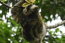 Manuel Antonio National Park *Group tour/Park ticket NOT included