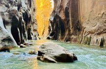 Zion Narrows - Small Mixed Group Tour