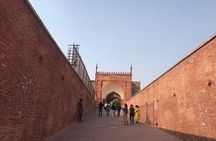 Guided Tour of Taj Agra Fort & Wildlife SOS from Jaipur transfers