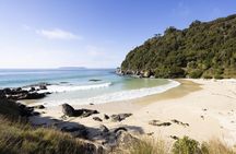 Stewart Island Guided Wilderness Walk
