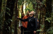 Stewart Island Guided Wilderness Walk