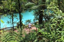 Private Tour to Rio Celeste Hike and Flavors of Costa Rica