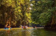 Phi Phi & James Bond Twilight: 2-Day Phuket Island Adventure