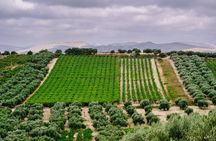 Heraklion Private Olive Oil and Wine Gastronomy tour with Lunch 
