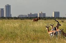  Group Joining Nairobi National Park and Giraffe Center 