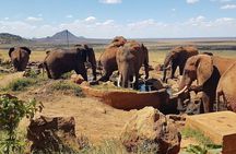 2 days 1 Night Tsavo East National Park Safari from Diani/Mombasa