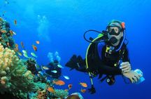Discover Scuba Diving Adventures in Jumeirah Dubai