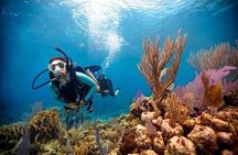 Discover Scuba Diving Adventures in Jumeirah Dubai
