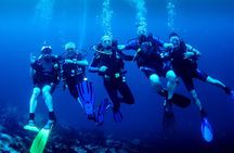 Discover Scuba Diving Adventures in Jumeirah Dubai