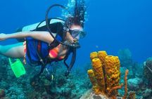 Discover Scuba Diving Adventures in Jumeirah Dubai