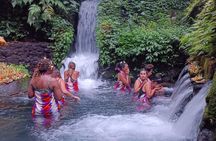 Shamanic Healing ,Cleansing and awakening Cakra experience