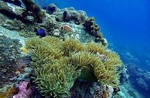 Discover Scuba Diving at Phu Quoc Island