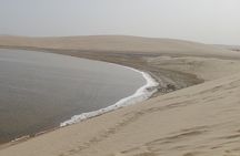 Doha: Desert Safari (Private Tour) with Pick Up & Drop Off