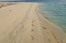 Doha: Desert Safari (Private Tour) with Pick Up & Drop Off
