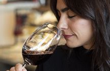 Photo tour and Wine Tasting in Ushuaia City