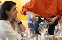 Photo tour and Wine Tasting in Ushuaia City
