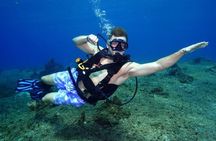 1 Tank Guided Shore Dive