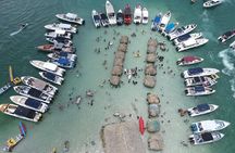 Visit Cholon & Baru with lunch