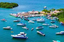 Visit Cholon & Baru with lunch
