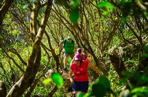 The Tamarind Falls (7 Cascades) Adventure