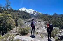 PRIVATE- Calbuco Volcano Hike-