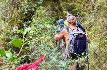 PRIVATE- Calbuco Volcano Hike-