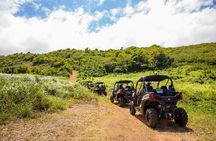 Dos Mares and Rainforest UTV Adventure Tour in Fajardo