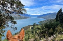 Esperanza Valley Horse ride.
