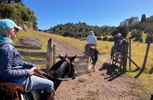 Esperanza Valley Horse ride.