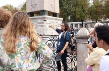 Istanbul Blue Mosque and Hagia Sophia Tour with Tickets