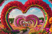 Miracle Garden Ticket Dubai with Private Transfers