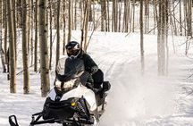 Tahoe Lakeview Snowmobiling Tours