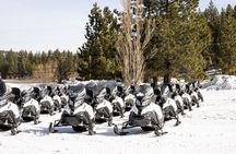 Tahoe Lakeview Snowmobiling Tours