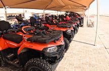 Luxury Shared Desert Safari tour with(Camel and Quad Bike OPTION)