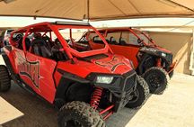 Luxury Shared Desert Safari tour with(Camel and Quad Bike OPTION)