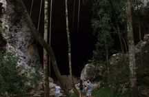 Mountain Pine Ridge Tour from San Ignacio