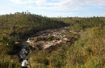 Mountain Pine Ridge Tour from San Ignacio