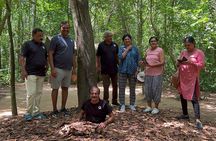 Private Shore Excursion Tour: Cu Chi Tunnels And Ho Chi Minh City