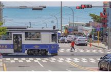 Private Car Charter Tour in Busan City