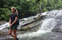 Sinharaja Rain Forest Day Tour from Mirissa, Galle, Bentota Area