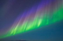 Rovaniemi: Northern Lights Hunting and Photography Tour