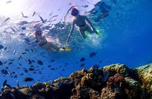 3 Semporna Islands Tour with Snorkel or Diving Experience