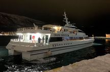  Whale Safari in Tromso