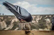 Green (South) Tour Cappadocia (small group) with lunch and ticket