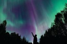 Rovaniemi: Northern Lights Group Tour - Guaranteed View 