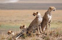 Explore 5 Days Group Tour in Tanzania